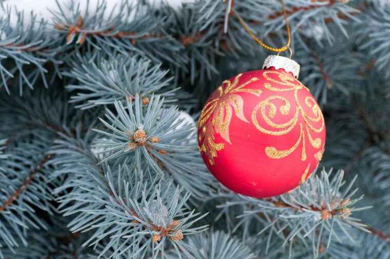 Tips voor een veilige kerstboom