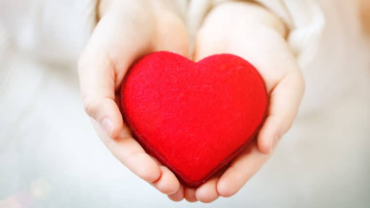 Donorwet 2020: wat moet je weten?