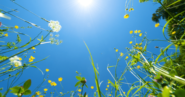 Tips voor de warme dagen  