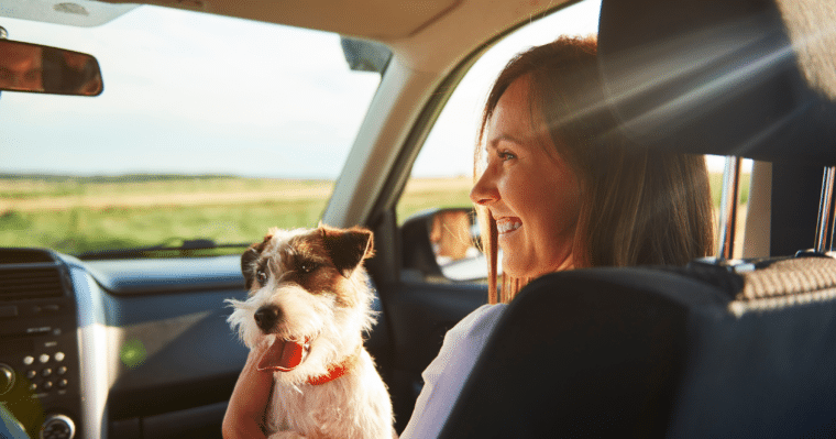 De voordelen van therapiedieren in de zorg 