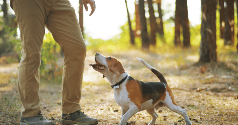 De leukste activiteiten voor Haagse senioren 