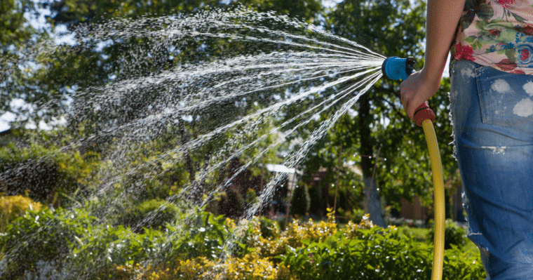 Tuintips voor de zomer