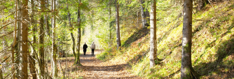 Vitamine D in de winter: kleine gewoontes, groot verschil