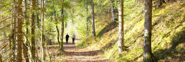 Vitamine D in de winter: kleine gewoontes, groot verschil